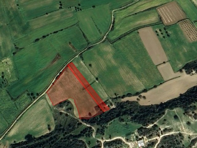 Schnäppchenmöglichkeit! 8 Hektar 3 Evlek-Land stehen zum Verkauf!