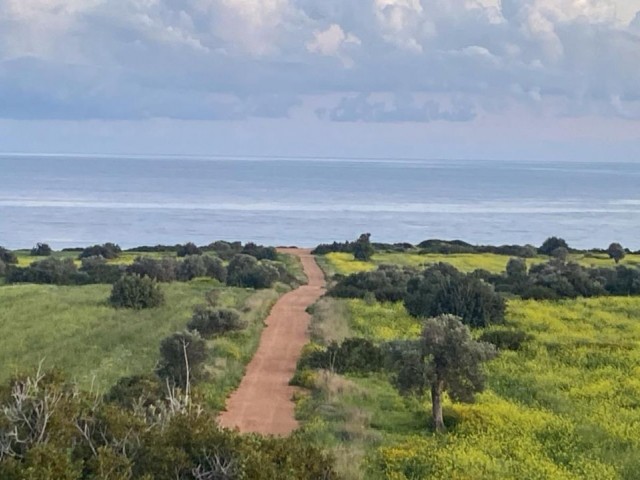 4 Hektar 3-Evlek-Land direkt am Meer zum Schnäppchenpreis!