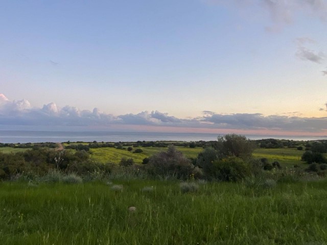 4 Hektar 3-Evlek-Land direkt am Meer zum Schnäppchenpreis!