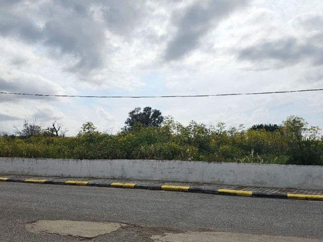 3 DECLARES OF LAND WITH 2 EVLEK HOUSES FOR SALE IN YENİERENKÖY!