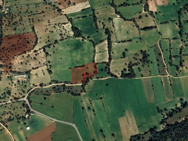 6 DECLARATION OF 1 EVLEK FIELD SUITABLE FOR INVESTMENT FOR SALE IN İSKELE DERİNCE