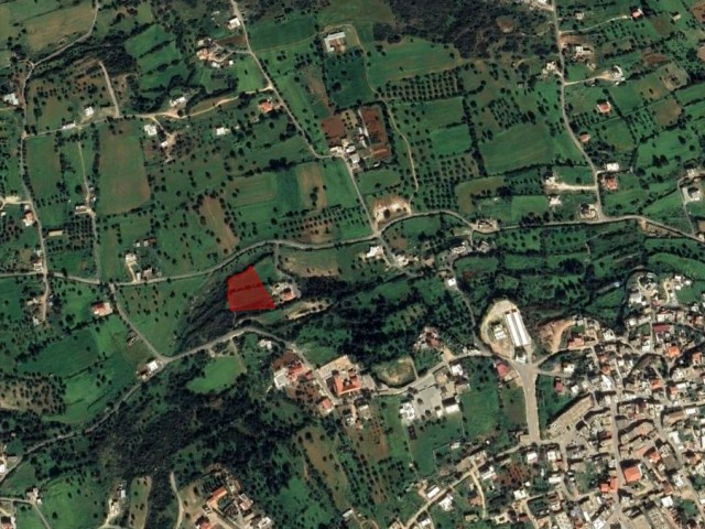 2 DECLARES OF 1 EVLEK LAND IN YENİERENKÖY AT AN UNMISSABLE PRICE!