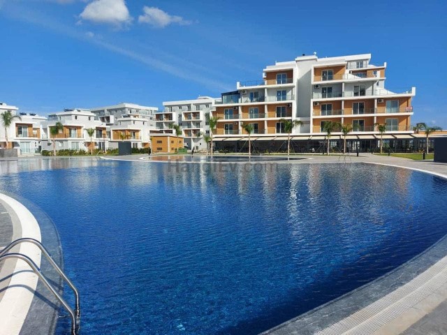 Royal sun elit 1+1  daire(bahçe kat,Aquamarine )