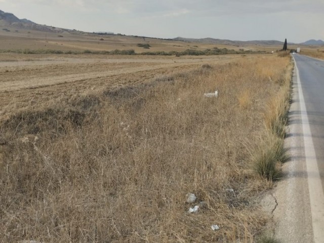 Yılmazköy'de Satılık 4 Dönüm İmarlı,Kat İzinli Fırsat Arsa