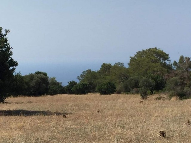 Karaağaç/GİRNE'de  Deniz ve Dağ manzaralı, imara açık, eşdeğer koçan, yan yana yolu olan 2 parsel ar