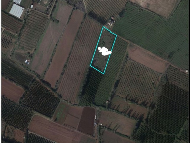 Land for sale in Gaziveren/LEFKE, with Turkish title, 3 acres, 3 houses, 800 square feet, without of