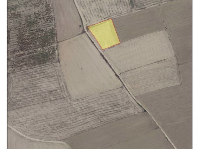 Agricultural land with an official road of 2420.77 m2 is for sale in Pınarlı/FAMAGUSTA.