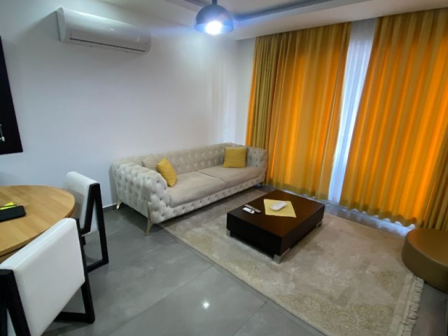 Luxury 1+1 apartment is Terrace Park