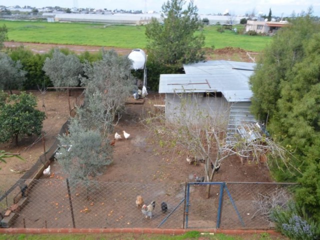 4+1 Villa zum Verkauf in der Gegend von Famagusta Lower Maras