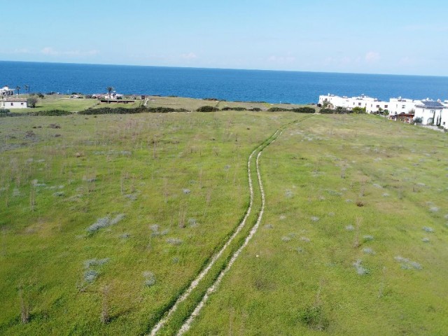 41 Acres of 3 Evlek Land Suitable for Investment in Tatlısu - Küçük Erenköy!