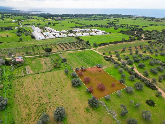 1.291m² Opportunity Land for Sale in Dipkarpaz!