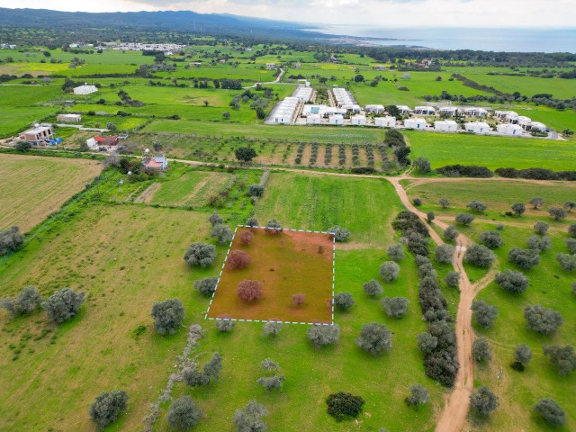 1.291m² Opportunity Land for Sale in Dipkarpaz!