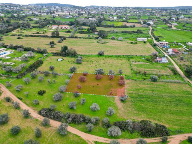 1.291m² Opportunity Land for Sale in Dipkarpaz!