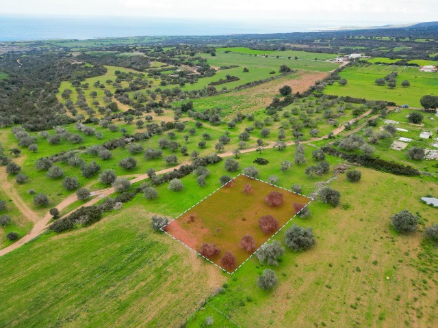 1.291m² Opportunity Land for Sale in Dipkarpaz!