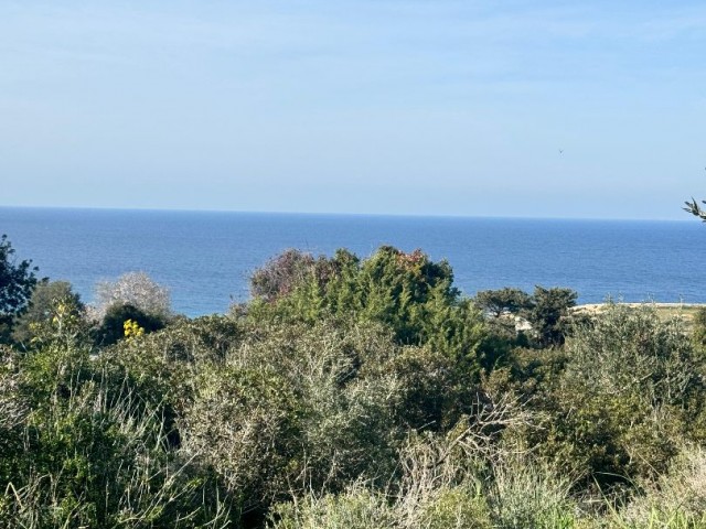 Charmantes Land von 7 Hektar in Sipahi, 500 Meter vom Meer entfernt