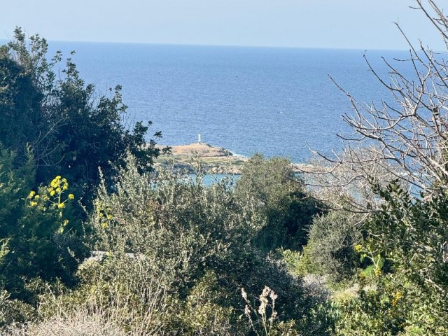 Charming Land of 7 Acres in Sipahi, 500 Meters from the Sea