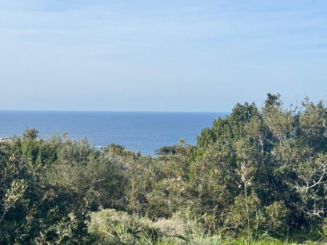 Charming Land of 7 Acres in Sipahi, 500 Meters from the Sea
