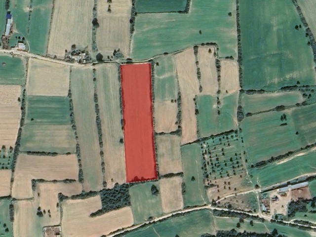 Zoned Land in Dipkarpaz is for Sale!