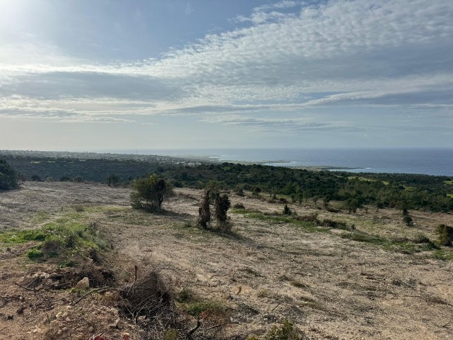 Unique Sea View Land in Yenierenköy!