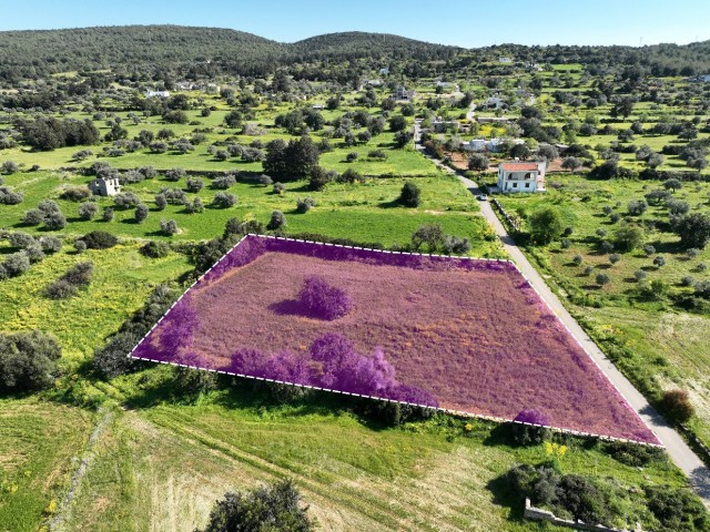 2,5 Dekaden Land zum Verkauf in Sipahi, 100 % in der Türkei hergestellt und mit Meerblick!