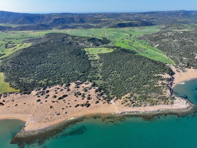 Dipkarpaz'da Plaja Yürüme Mesafesinde 14.569m² Satılık Arazi! (Özel Plaj Niteliğinde)