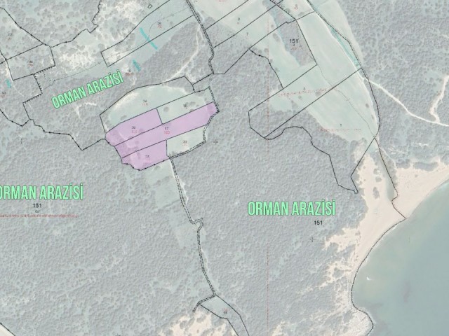 Dipkarpaz'da Plaja Yürüme Mesafesinde 14.569m² Satılık Arazi! (Özel Plaj Niteliğinde)