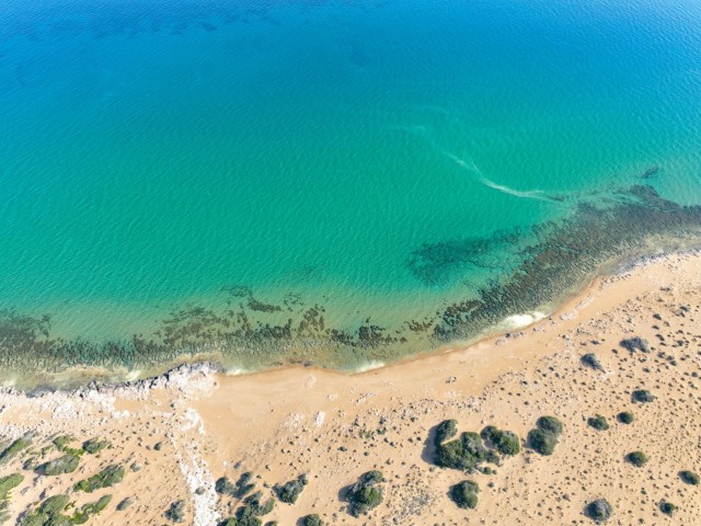 Dipkarpaz'da Plaja Yürüme Mesafesinde 14.569m² Satılık Arazi! (Özel Plaj Niteliğinde)