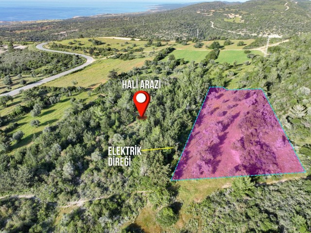 2.612m² Investment Land for Sale with Magnificent Sea View in Sipahi!