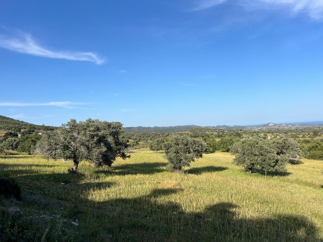 زمین فرصت ساخت ترکیه 7.970 متر مربع مناسب برای سرمایه گذاری در جبهه جنوبی روستای سپاهی!