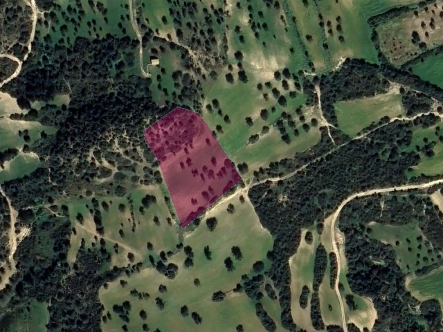 7.970m² Turkish Made Opportunity Land Suitable for Investment on the Southern Front of Sipahi Village!