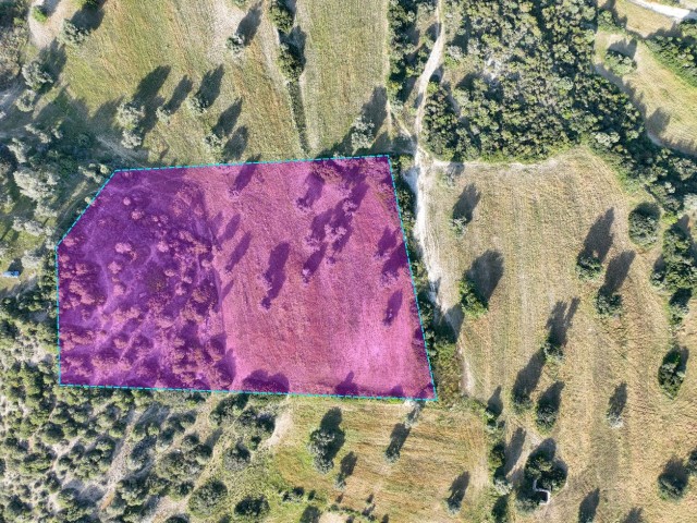 7.970m² Turkish Made Opportunity Land Suitable for Investment on the Southern Front of Sipahi Village!