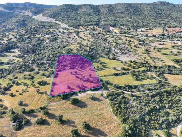 7.970m² Turkish Made Opportunity Land Suitable for Investment on the Southern Front of Sipahi Village!