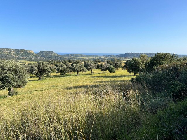 زمین فرصت ساخت ترکیه 7.970 متر مربع مناسب برای سرمایه گذاری در جبهه جنوبی روستای سپاهی!