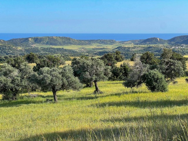 7.970m² Turkish Made Opportunity Land Suitable for Investment on the Southern Front of Sipahi Village!