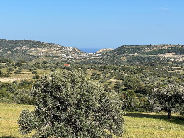 7.970m² Turkish Made Opportunity Land Suitable for Investment on the Southern Front of Sipahi Village!