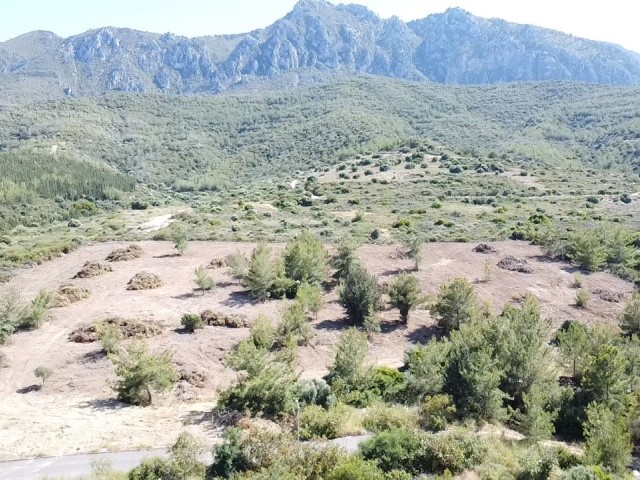 1 donum land for sale in Kyrenia Edremit region