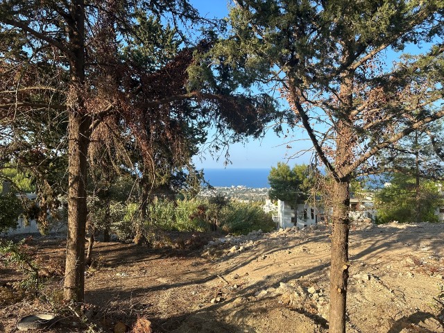 1000m2 plots for sale in Kyrenia Karmi region