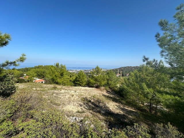 1 donum, 3 houses land for sale in Kyrenia Karmi region