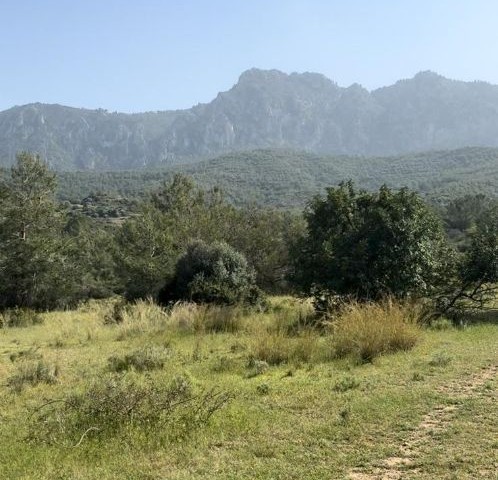 Konut İmarlı Arsa - Girne, Alsancak