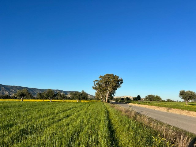 زمین سرمایه گذاری فرصت