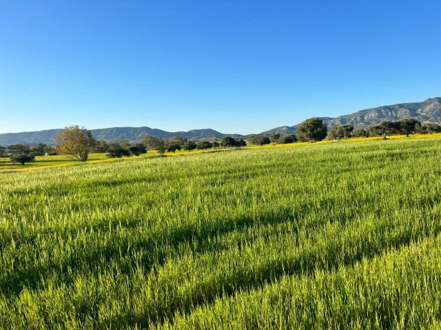 زمین سرمایه گذاری فرصت