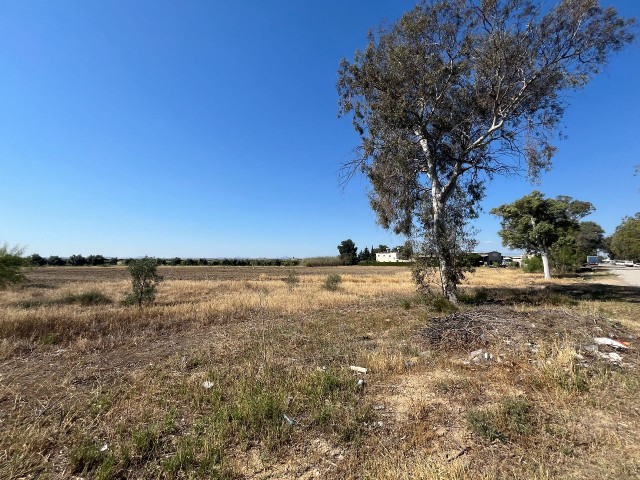 Minareliköy 10 Acres Land mit Gewerbegenehmigung