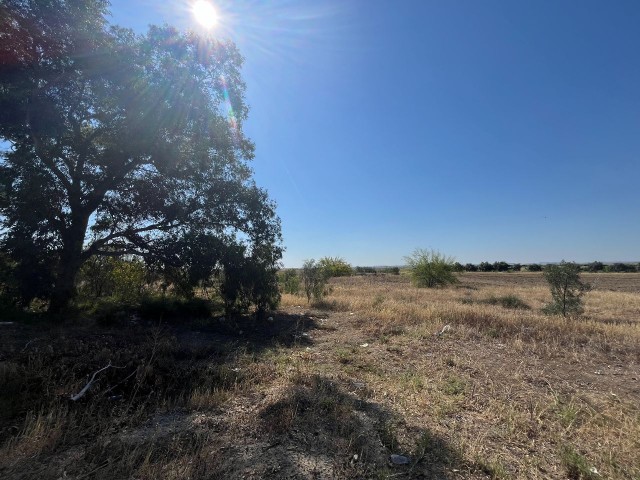 Minareliköy 10 Acres Land mit Gewerbegenehmigung