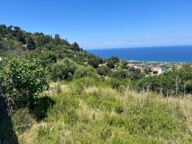 LAND SUITABLE FOR RESIDENTIAL BUILDING WITH A UNIQUE VIEW IN LAPTA BAŞPINAR (ALL EXCHANGE AND MATURITY OPTIONS ARE OPEN!)