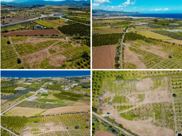 6 acres of land for sale in Cengizköy