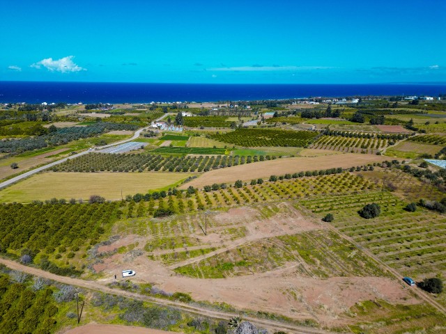 6 acres of land for sale in Cengizköy