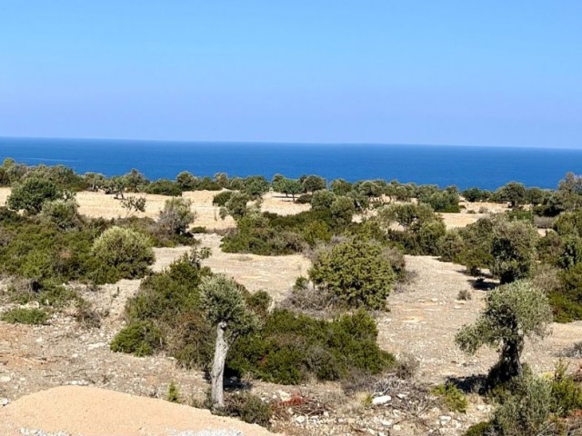 Grundstück mit Meerblick in Alagadi, Girne, geeignet für großes Entwicklungsprojekt zum Verkauf