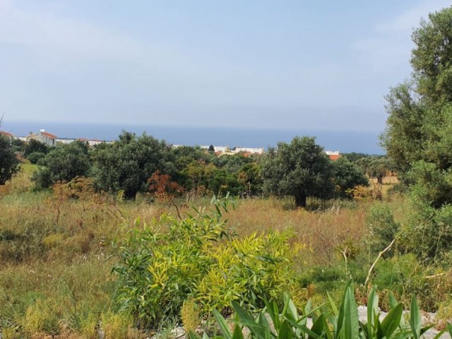 2+1 detached house in Yeni Erenköy