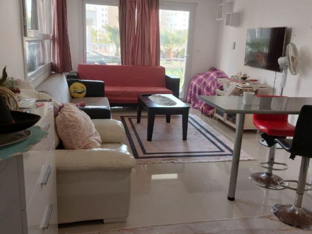 Bargain price fully furnished 1+1 ground floor apartment with pool view at caesar resort