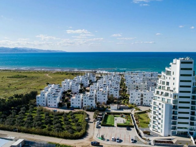 URGENT SALE! PENTHOUSE ON THE FIRST COASTLINE